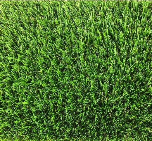 Kunstgras Zandvoort 26 Mm Poolhoogte Direct Eur 1495 huismerk kopen in de aanbieding