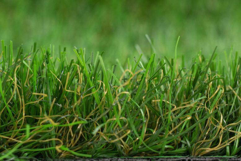 main product photo rounded-lg