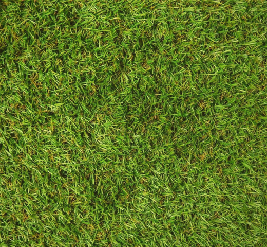 Kunstgras Sofia 20 Mm Poolhoogte Direct Eur 1295 huismerk kopen in de aanbieding Kunstgras Sofia 20 Mm Poolhoogte Direct Eur 1295 huismerk kopen in de aanbieding