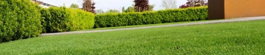 kunstgras tuin