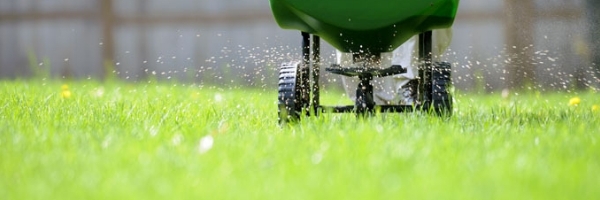 Gras bemesten