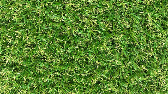 kunstgras