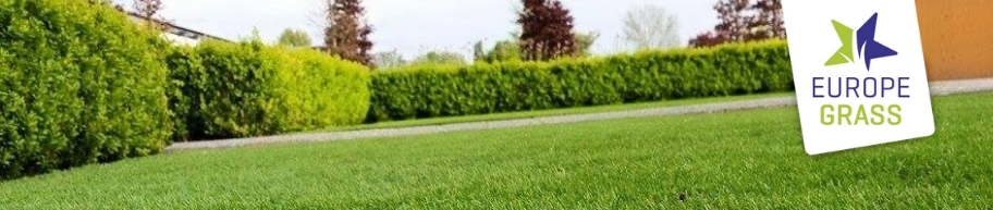 Kunstgras Europe Grass