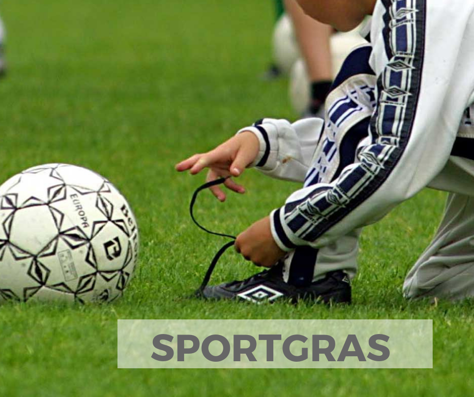 sportgras kunstgras voetbal